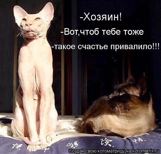 -Хозяин! -Вот,чтоб тебе тоже -такое счастье привалило!!!... Котоматрица: -Хозяин! -Вот,чтоб тебе тоже -такое счастье привалило!!!