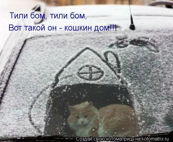 Тили бом, тили бом, Вот такой он - кошкин дом!!!... Котоматрица: Тили бом, тили бом, Вот такой он - кошкин дом!!!