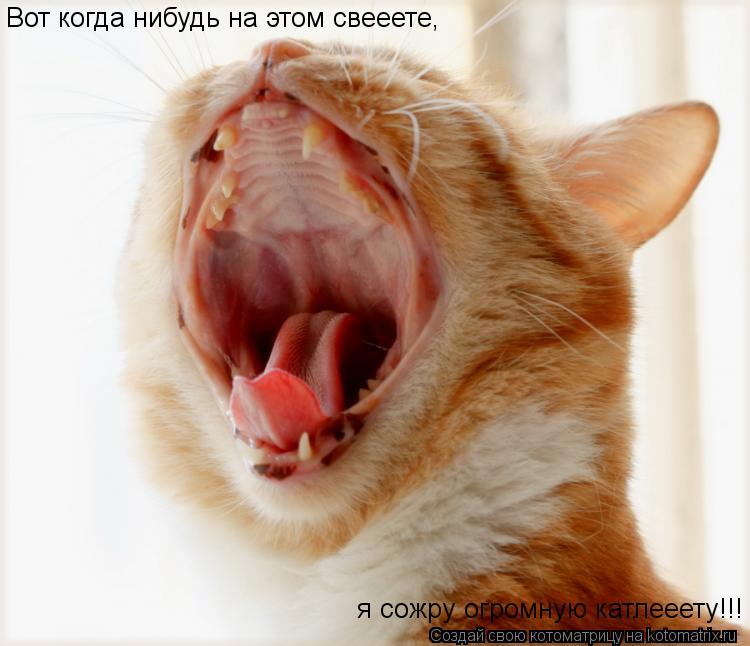 Вот когда нибудь на этом свееете, я сожру огромную катлееету!!!... Котоматрица: Вот когда нибудь на этом свееете, я сожру огромную катлееету!!!