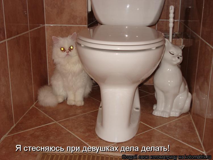 Я стесняюсь при девушках дела делать!... Котоматрица: Я стесняюсь при девушках дела делать!