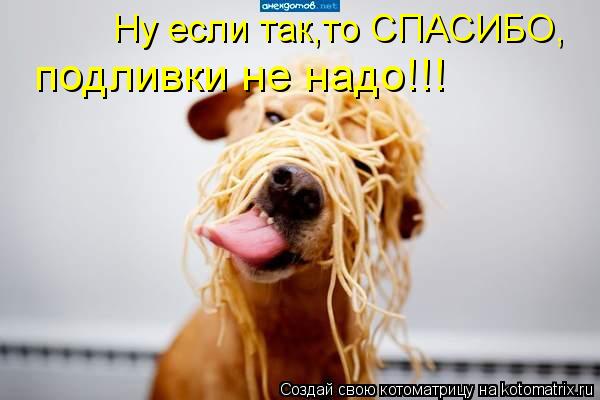 Ну если так,то СПАСИБО, подливки не надо!!!... Котоматрица: Ну если так,то СПАСИБО, подливки не надо!!!