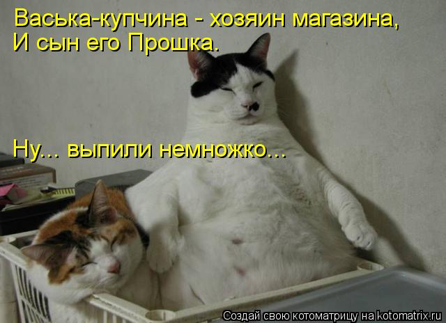 Васька-купчина - хозяин магазина, И сын его Прошка. Ну... выпили немножко...... Котоматрица: Васька-купчина - хозяин магазина, И сын его Прошка. Ну... выпили немножко...