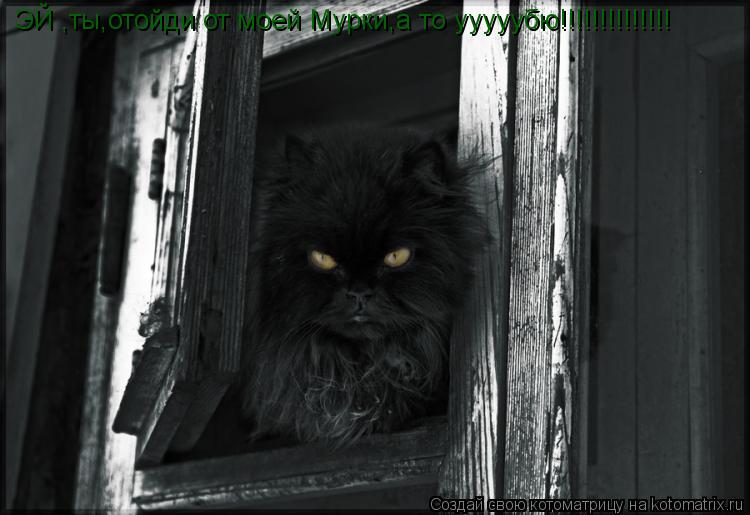 ЭЙ ,ты,отойди от моей Мурки,а то ууууубю!!!!!!!!!!!!!!... Котоматрица: ЭЙ ,ты,отойди от моей Мурки,а то ууууубю!!!!!!!!!!!!!!