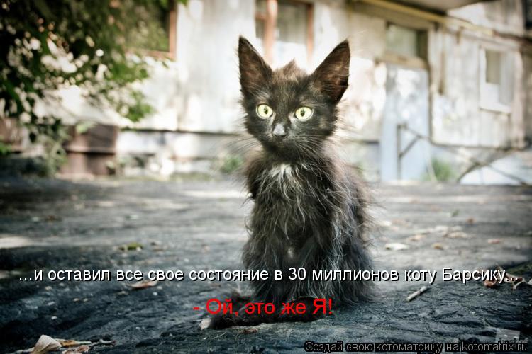 ...и оставил все свое состояние в 30 миллионов коту Барсику... - Ой, это же Я!... Котоматрица: ...и оставил все свое состояние в 30 миллионов коту Барсику... - Ой, это же Я!