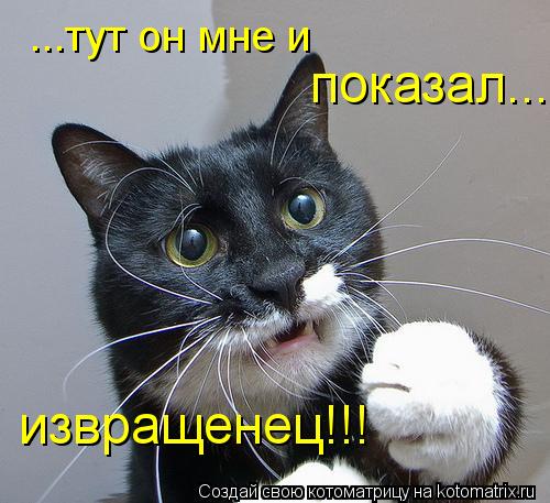 ...тут он мне и показал... извращенец!!!... Котоматрица: ...тут он мне и показал... извращенец!!!