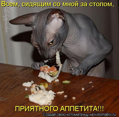 Всем, сидящим со мной за столом, ПРИЯТНОГО АППЕТИТА!!!... Котоматрица: Всем, сидящим со мной за столом, ПРИЯТНОГО АППЕТИТА!!!