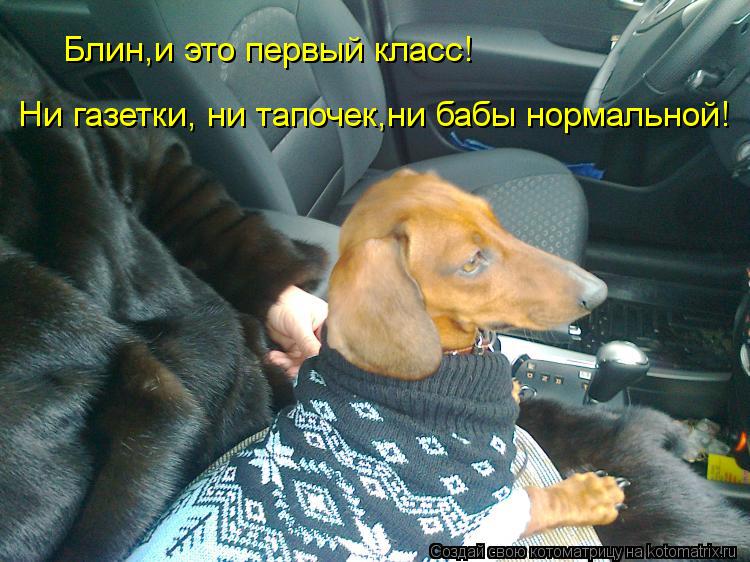 Блин,и это первый класс! Ни газетки, ни тапочек,ни бабы нормальной!... Котоматрица: Блин,и это первый класс! Ни газетки, ни тапочек,ни бабы нормальной!