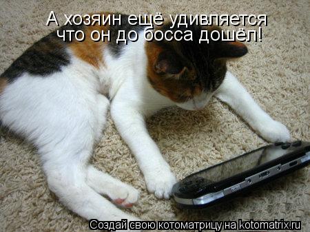А хозяин ещё удивляется что он до босса дошёл!... Котоматрица: А хозяин ещё удивляется что он до босса дошёл!