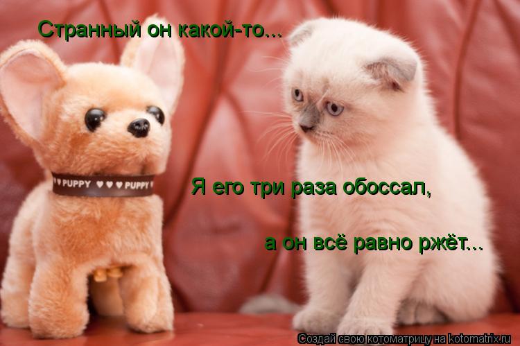 Странный он какой-то... Я его три раза обоссал, а он всё равно ржёт...... Котоматрица: Странный он какой-то... Я его три раза обоссал, а он всё равно ржёт...