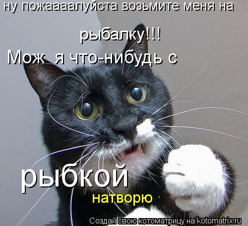 ну пожаааалуйста возьмите меня на рыбалку!!! натворю рыбкой Мож я что-нибудь с... Котоматрица: ну пожаааалуйста возьмите меня на рыбалку!!! натворю рыбкой Мож я что-нибудь с