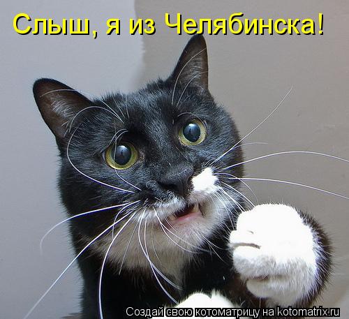 Слыш, я из Челябинска!... Котоматрица: Слыш, я из Челябинска!