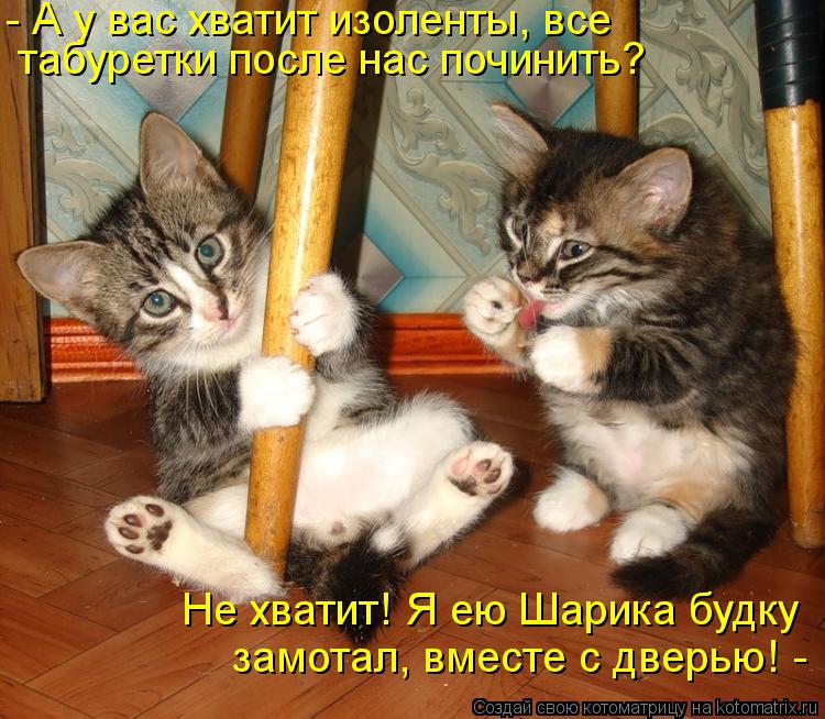- А у вас хватит изоленты, все табуретки после нас починить? Не хватит! Я ею Шарика будку замотал, ... Котоматрица: - А у вас хватит изоленты, все табуретки после нас починить? Не хватит! Я ею Шарика будку замотал, вместе с дверью! -