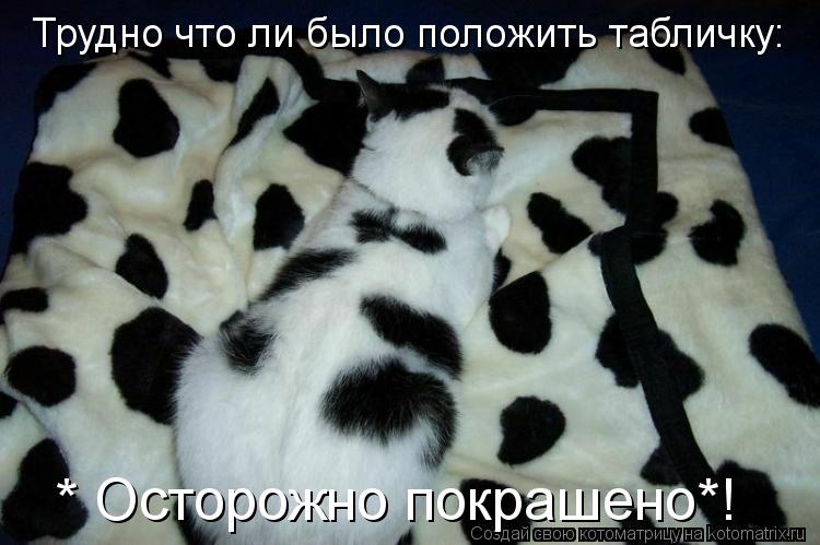 Трудно что ли было положить табличку: * Осторожно покрашено*!... Котоматрица: Трудно что ли было положить табличку: * Осторожно покрашено*!