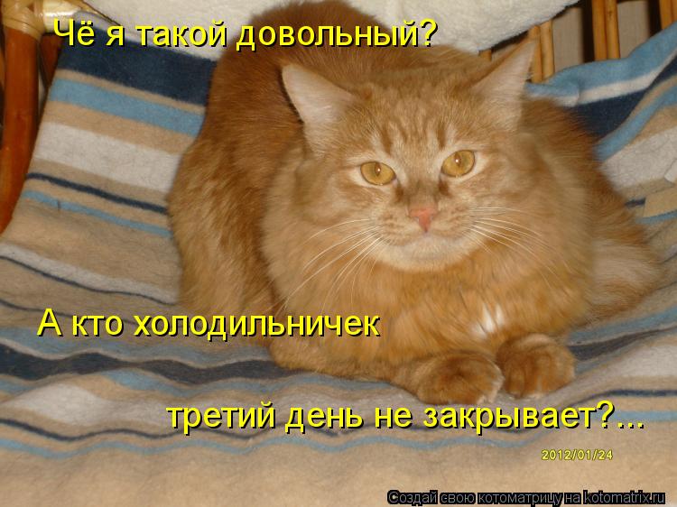 Чё я такой довольный? третий день не закрывает?... А кто холодильничек... Котоматрица: Чё я такой довольный? третий день не закрывает?... А кто холодильничек