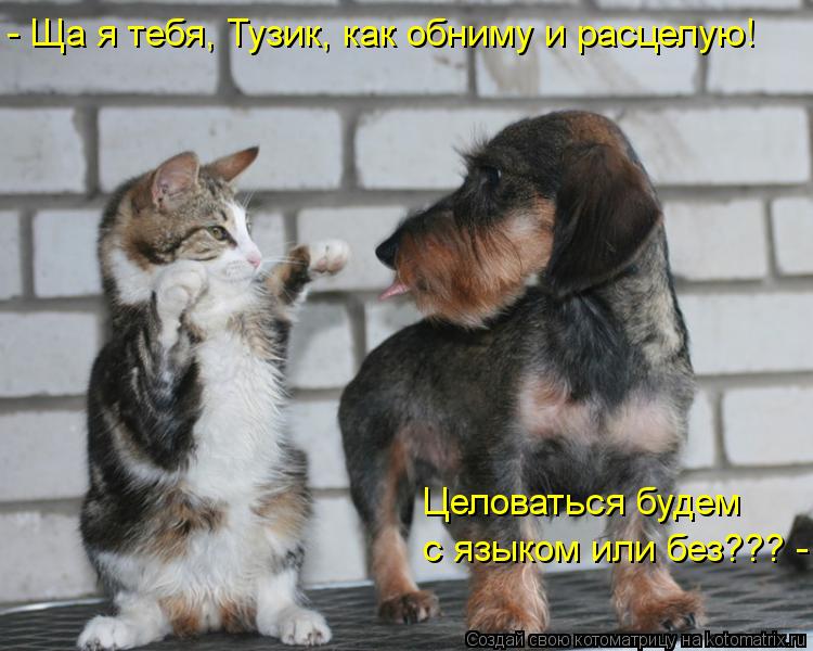 - Ща я тебя, Тузик, как обниму и расцелую! с языком или без??? - Целоваться будем... Котоматрица: - Ща я тебя, Тузик, как обниму и расцелую! с языком или без??? - Целоваться будем