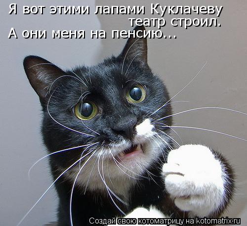 Я вот этими лапами Куклачеву театр строил. А они меня на пенсию...... Котоматрица: Я вот этими лапами Куклачеву театр строил. А они меня на пенсию...