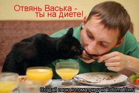 Отвянь Васька - ты на диете!... Котоматрица: Отвянь Васька - ты на диете!