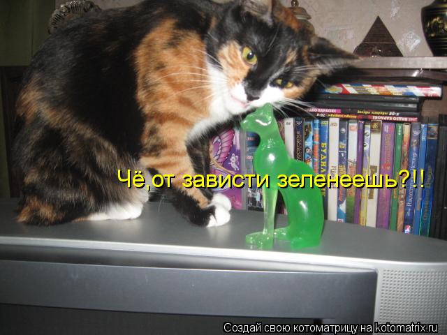 Чё,от зависти зеленеешь?!!... Котоматрица: Чё,от зависти зеленеешь?!!
