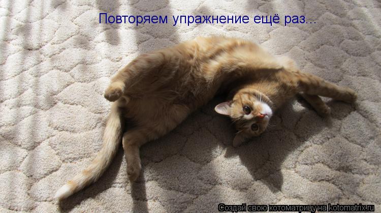 Повторяем упражнение ещё раз...... Котоматрица: Повторяем упражнение ещё раз...