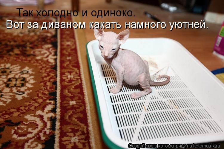 Так холодно и одиноко. Вот за диваном какать намного уютней. Так холодно и одиноко. Вот за диваном к... Котоматрица: Так холодно и одиноко. Вот за диваном какать намного уютней. Так холодно и одиноко. Вот за диваном какать намного уютней.