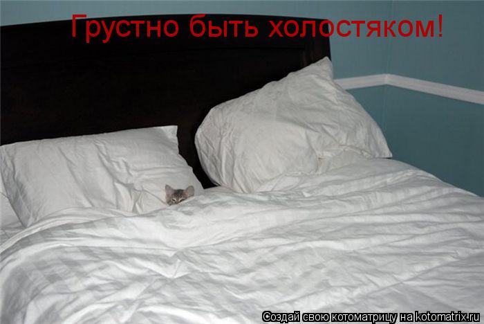 Грустно быть холостяком!... Котоматрица: Грустно быть холостяком!