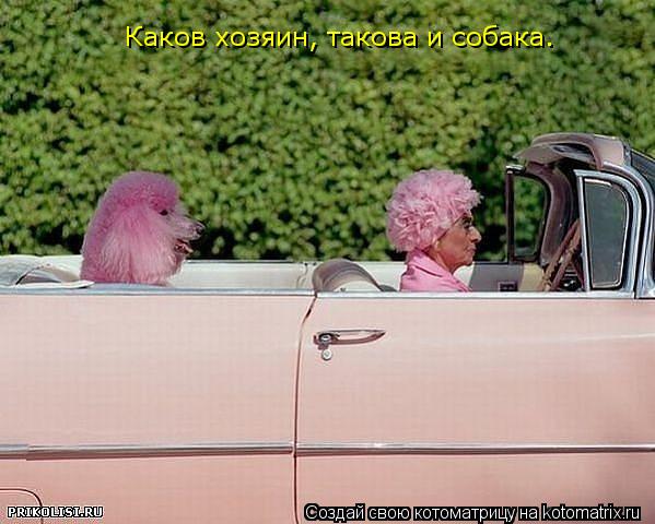 Каков хозяин, такова и собака.... Котоматрица: Каков хозяин, такова и собака.