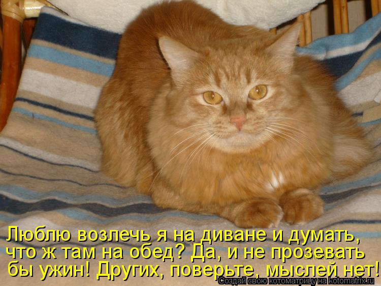 бы ужин! Других, поверьте, мыслей нет! что ж там на обед? Да, и не прозевать Люблю возлечь я на диван... Котоматрица: бы ужин! Других, поверьте, мыслей нет! что ж там на обед? Да, и не прозевать Люблю возлечь я на диване и думать,