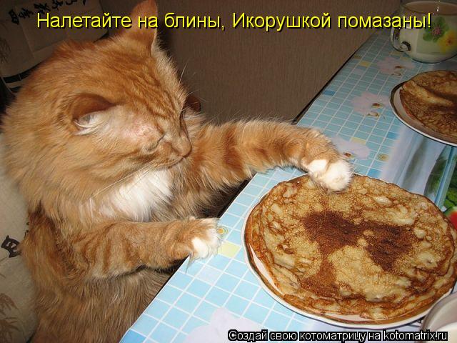 Налетайте на блины, Икорушкой помазаны! Налетайте на блины, Икорушкой помазаны!... Котоматрица: Налетайте на блины, Икорушкой помазаны! Налетайте на блины, Икорушкой помазаны!