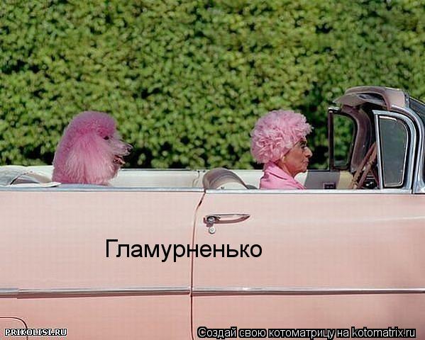 Гламурненько... Котоматрица: Гламурненько