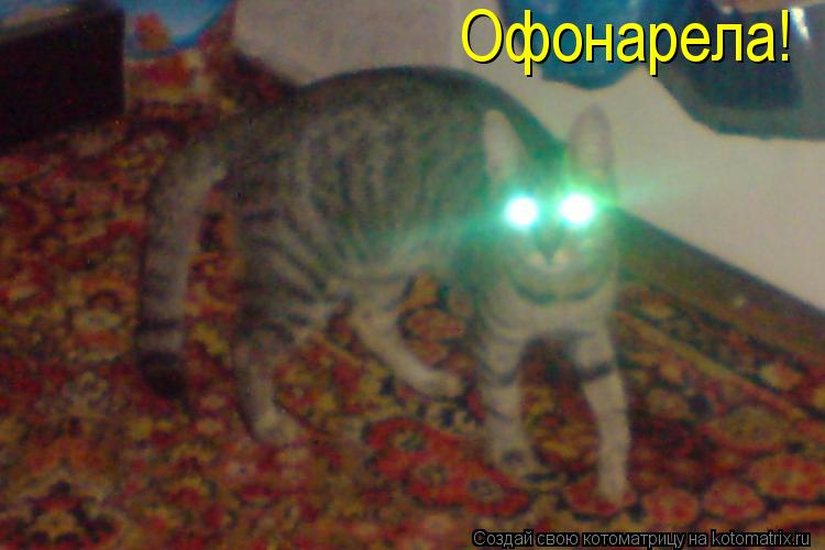 Офонарела!... Котоматрица: Офонарела!