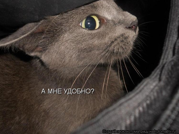 А МНЕ УДОБНО?... Котоматрица: А МНЕ УДОБНО?