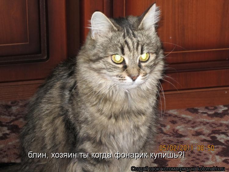 блин, хозяин ты когда фонарик купишь?!... Котоматрица: блин, хозяин ты когда фонарик купишь?!