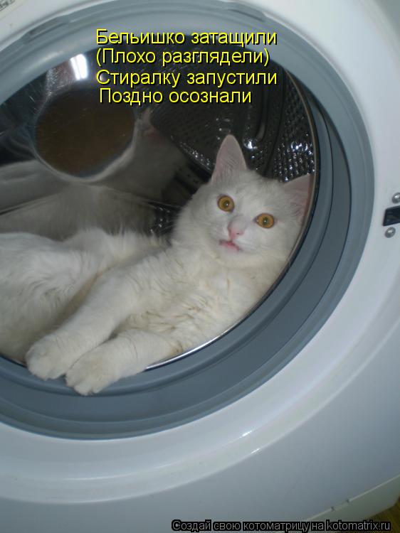Бельишко затащили (Плохо разглядели) Стиралку запустили Поздно осознали... Котоматрица: Бельишко затащили (Плохо разглядели) Стиралку запустили Поздно осознали