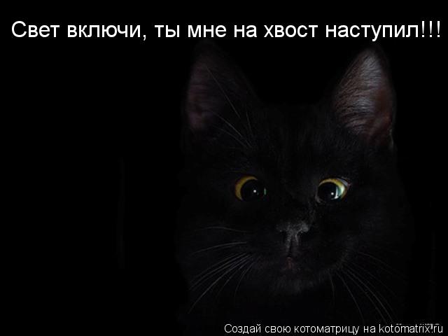 Свет включи, ты мне на хвост наступил!!!... Котоматрица: Свет включи, ты мне на хвост наступил!!!