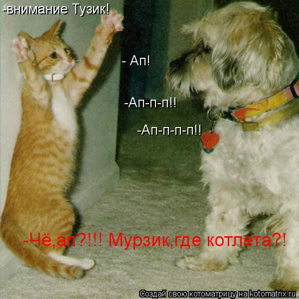-внимание Тузик! - Ап! -Ап-п-п!! -Ап-п-п-п!! -Чё,ап?!!! Мурзик,где котлета?!... Котоматрица: -внимание Тузик! - Ап! -Ап-п-п!! -Ап-п-п-п!! -Чё,ап?!!! Мурзик,где котлета?!