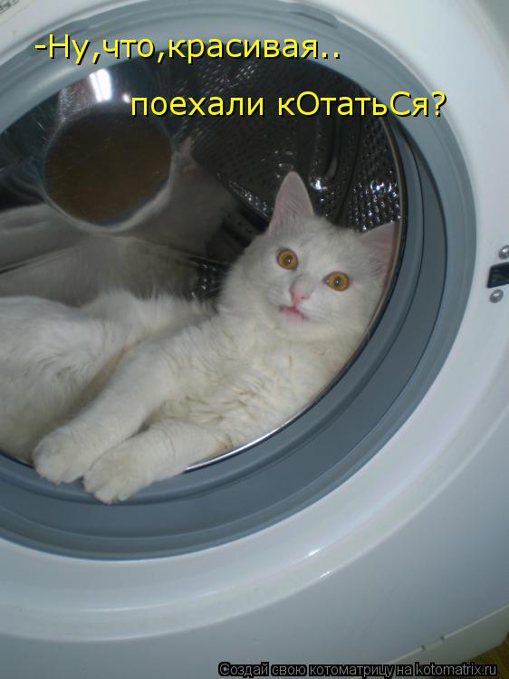 -Ну,что,красивая.. поехали кОтатьСя?... Котоматрица: -Ну,что,красивая.. поехали кОтатьСя?