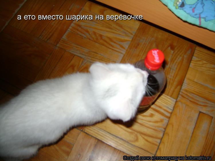 а ето вместо шарика на верёвочке... Котоматрица: а ето вместо шарика на верёвочке
