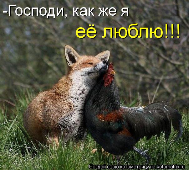 -Господи, как же я её люблю!!!... Котоматрица: -Господи, как же я её люблю!!!