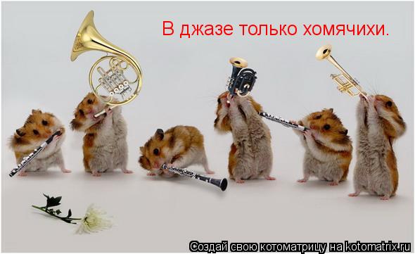 В джазе только хомячихи.... Котоматрица: В джазе только хомячихи.