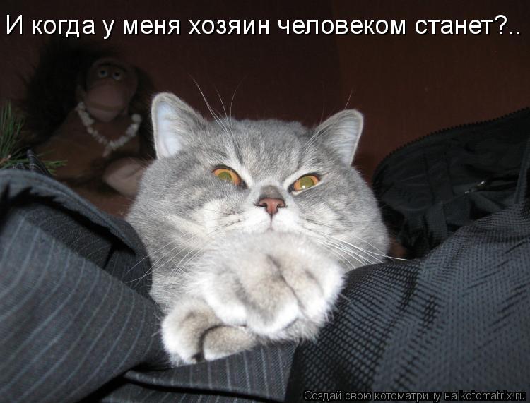 И когда у меня хозяин человеком станет?..... Котоматрица: И когда у меня хозяин человеком станет?..