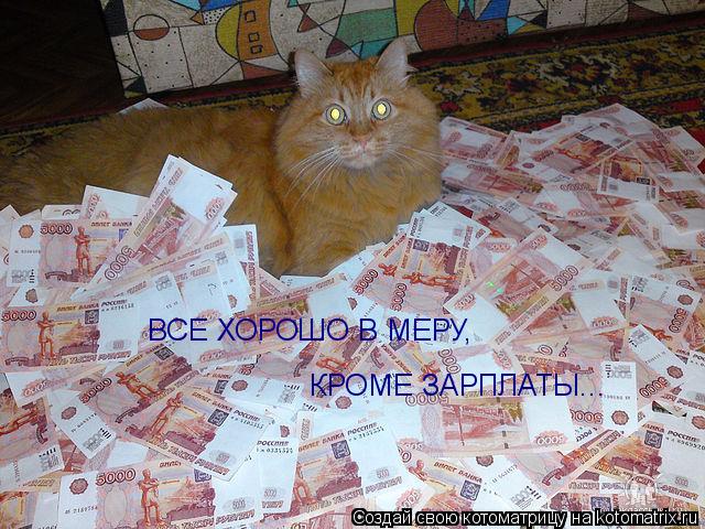 ВСЕ ХОРОШО В МЕРУ, КРОМЕ ЗАРПЛАТЫ...... Котоматрица: ВСЕ ХОРОШО В МЕРУ, КРОМЕ ЗАРПЛАТЫ...