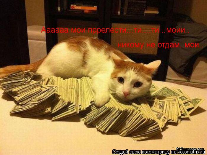 Аааааа мои пррелести...ти....ти...моии.. никому не отдам..мои..... Котоматрица: Аааааа мои пррелести...ти....ти...моии.. никому не отдам..мои..