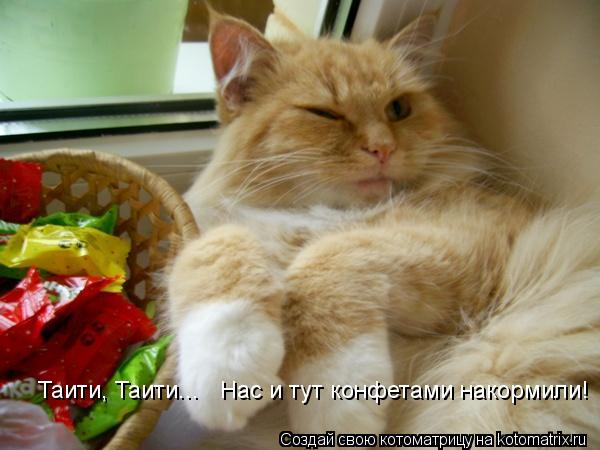 Таити, Таити... Нас и тут конфетами накормили!... Котоматрица: Таити, Таити... Нас и тут конфетами накормили!