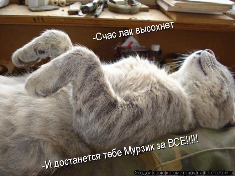 -Счас лак высохнет -И достанется тебе Мурзик за ВСЕ!!!!!... Котоматрица: -Счас лак высохнет -И достанется тебе Мурзик за ВСЕ!!!!!