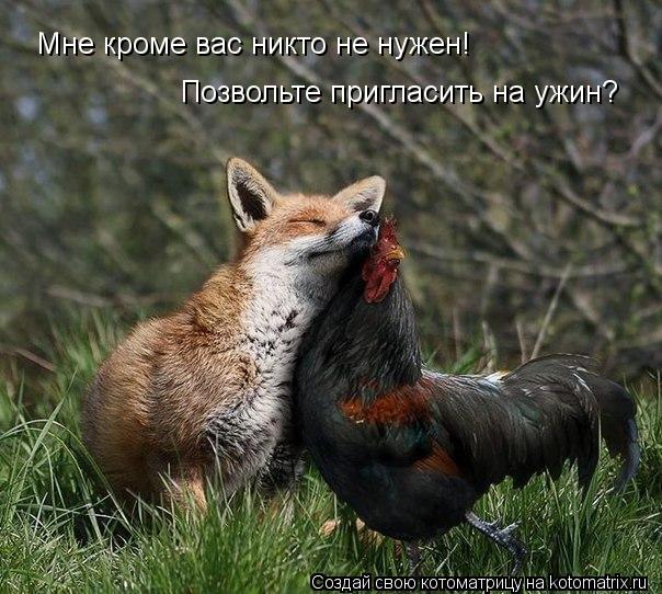 Мне кроме вас никто не нужен! Позвольте пригласить на ужин?... Котоматрица: Мне кроме вас никто не нужен! Позвольте пригласить на ужин?