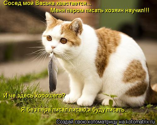Сосед мой Васька хвастается... Меня пером писать хозяин научил!!! И че здесь хорошего? Я без пера пис... Котоматрица: Сосед мой Васька хвастается... Меня пером писать хозяин научил!!! И че здесь хорошего? Я без пера писал,писаю,и буду писать..