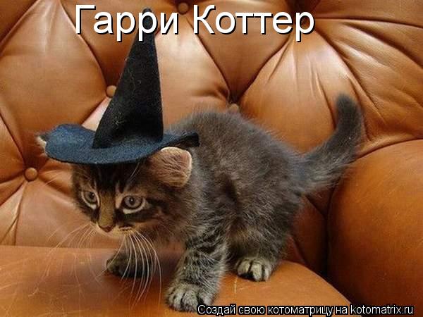Гарри Коттер... Котоматрица: Гарри Коттер