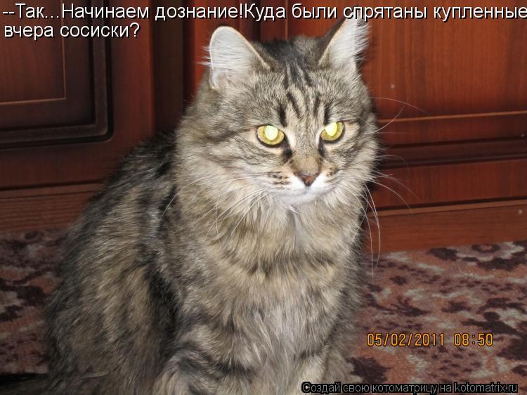 --Так...Начинаем дознание!Куда были спрятаны купленные вчера сосиски?... Котоматрица: --Так...Начинаем дознание!Куда были спрятаны купленные вчера сосиски?