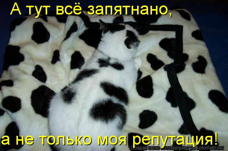 А тут всё запятнано, а не только моя репутация!... Котоматрица: А тут всё запятнано, а не только моя репутация!