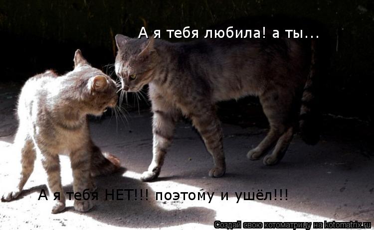 А я тебя любила! а ты... А я тебя НЕТ!!! поэтому и ушёл!!!... Котоматрица: А я тебя любила! а ты... А я тебя НЕТ!!! поэтому и ушёл!!!
